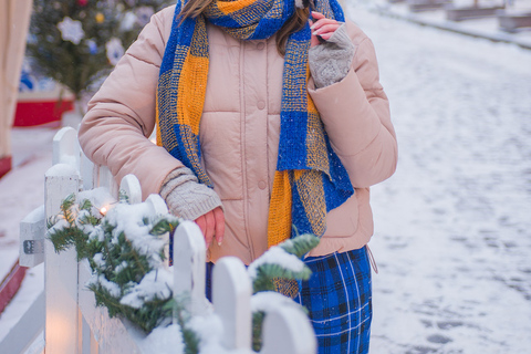 Helsinki: tour guiado a pie de Navidad de 2 horas