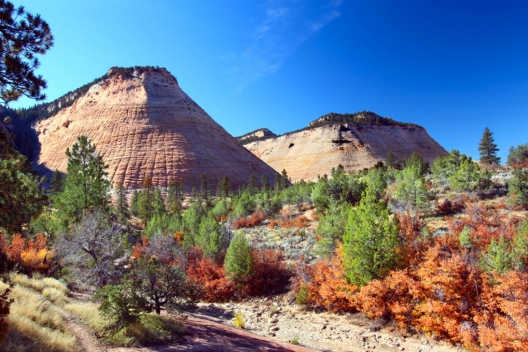 Excursión combinada sin conductor a los parques nacionales de Zion y Bryce Canyon