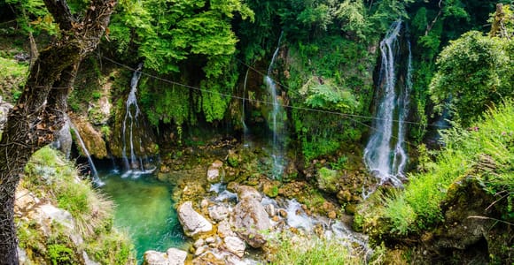 From Nice: Flower Fields & Saint Cassien Lake Full-Day Trip