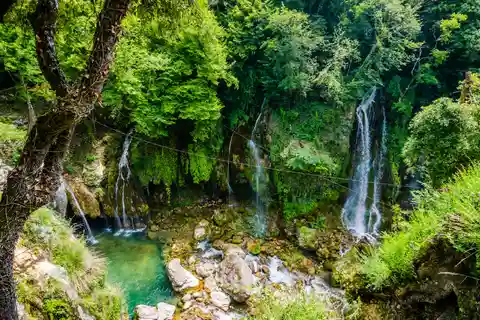 Da Nizza: Escursione di una giornata intera ai campi di fiori e al lago di Saint Cassien