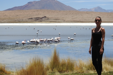 Au départ de San Pedro de Atacama : Circuit de 3 jours dans les salines d'UyuniOption standard