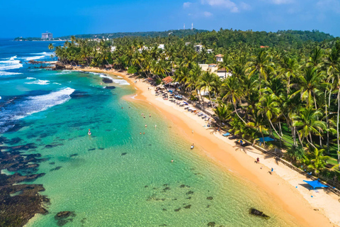 Down South Sri Lanka: 5-Day Beach Adventure Tour