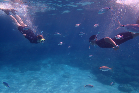 Mallorca: Snorkeling in a Beautiful Nature Reserve