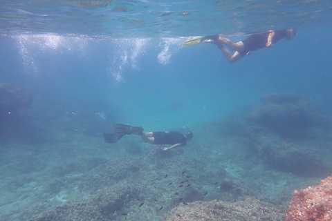 Mallorca: Schnorcheln im wunderschönen Naturschutzgebiet