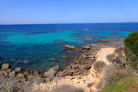 Mallorca: esnórquel en una preciosa reserva natural