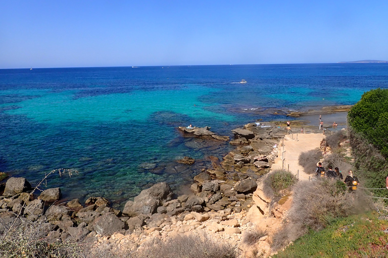 Mallorca: Snorkla i vackert naturreservatMallorca: Snorkling i ett vackert naturreservat