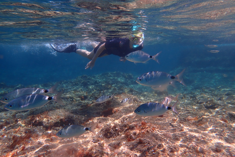 Mallorca: esnórquel en una preciosa reserva natural