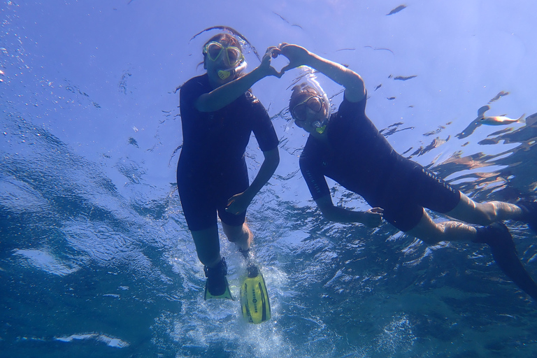 Maiorca: Mergulho de Snorkel em uma Bela Reserva Natural