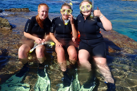 Maiorca: Mergulho de Snorkel em uma Bela Reserva Natural