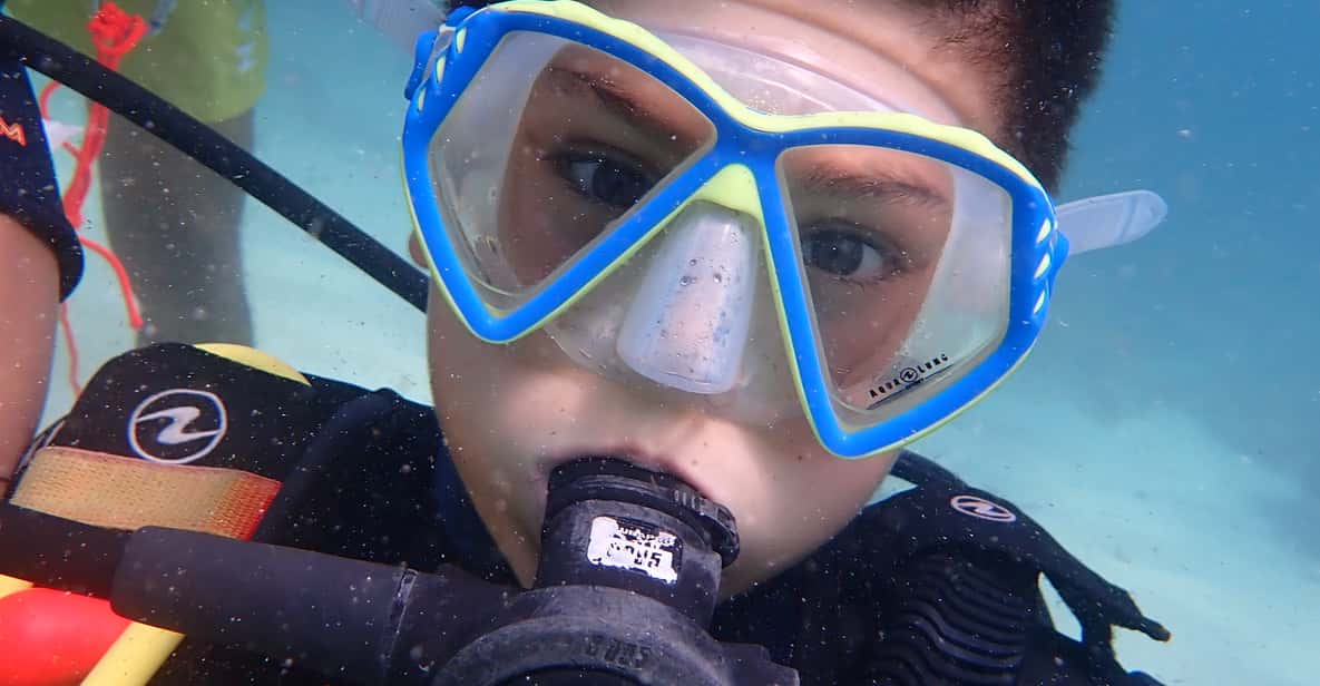 Afbeelding 7 van Mallorca: ontdek duiken voor beginners