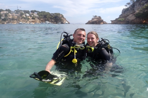 Majorka: Nurkowanie z akwalungiem w rezerwacie przyrody