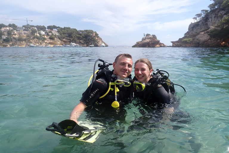 Maiorca: Prova le immersioni subacquee in una riserva naturale marinaMaiorca: tour di immersione in una riserva marina naturale