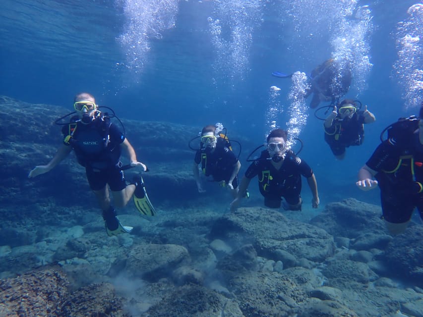 Mallorca Try Out Scuba Diving In A Marine Nature Reserve Getyourguide