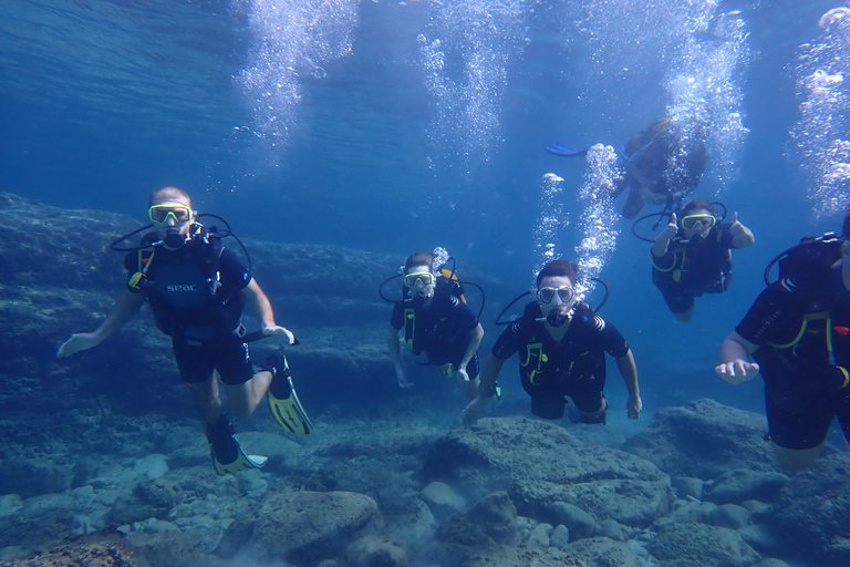 Maiorca: Prova le immersioni subacquee in una riserva naturale marinaMaiorca: tour di immersione in una riserva marina naturale