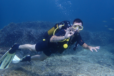 Mallorca: buceo en una preciosa reserva natural