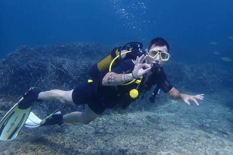 Mallorca: Tauch-Schnupperkurs in einem Naturschutzgebiet