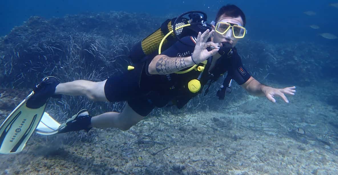 Afbeelding 12 van Mallorca: ontdek duiken voor beginners