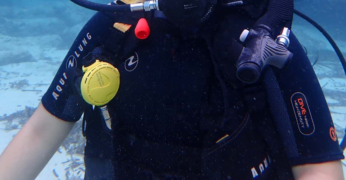 Afbeelding 13 van Mallorca: ontdek duiken voor beginners