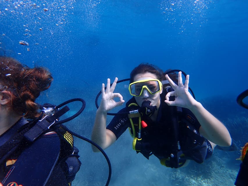 Mallorca Try Out Scuba Diving in a Marine Nature Reserve GetYourGuide