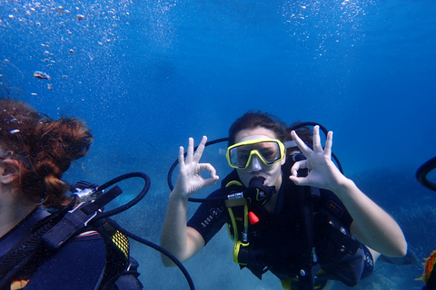 Mallorca: buceo en una preciosa reserva natural