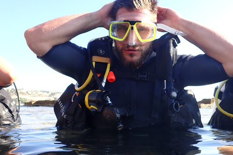 Mallorca: Tauch-Schnupperkurs in einem Naturschutzgebiet