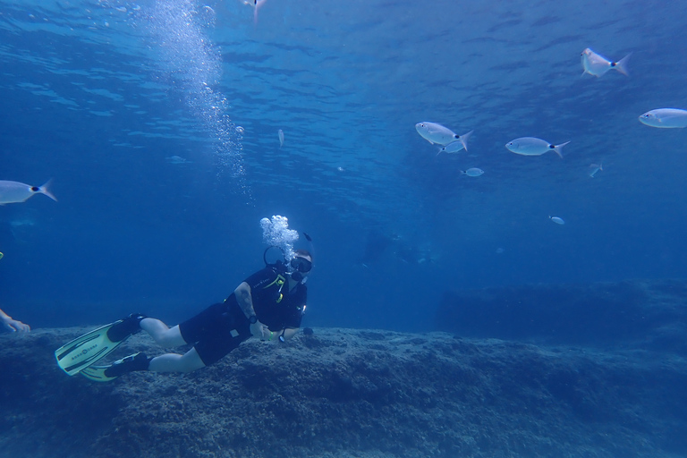 Mallorca: Experimente o mergulho autônomo em uma reserva natural marinhaMaiorca: Mergulho de Cilindro em Reserva Marinha