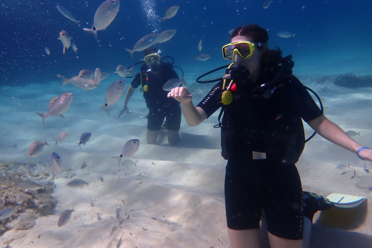 Maiorca: Prova le immersioni subacquee in una riserva naturale marinaMaiorca: tour di immersione in una riserva marina naturale