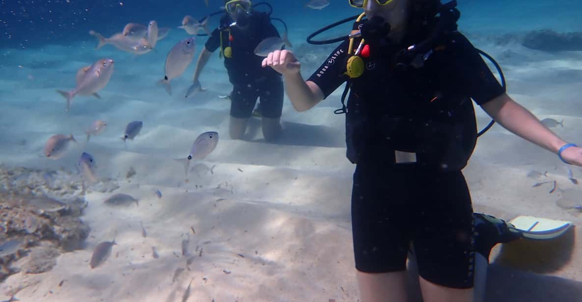 Afbeelding 24 van Mallorca: ontdek duiken voor beginners