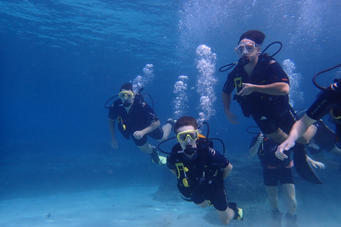 Mallorca: buceo en una preciosa reserva natural