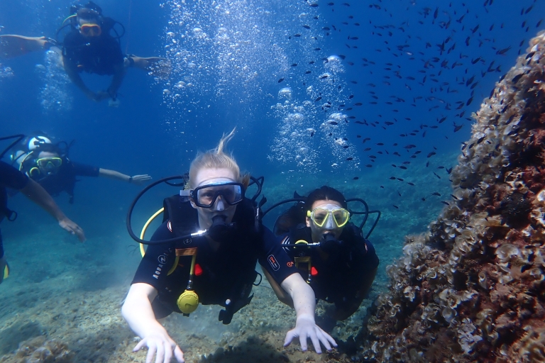Mallorca: intro tot duiken in een prachtig natuurreservaatMallorca: probeer duiken in een prachtig natuurreservaat