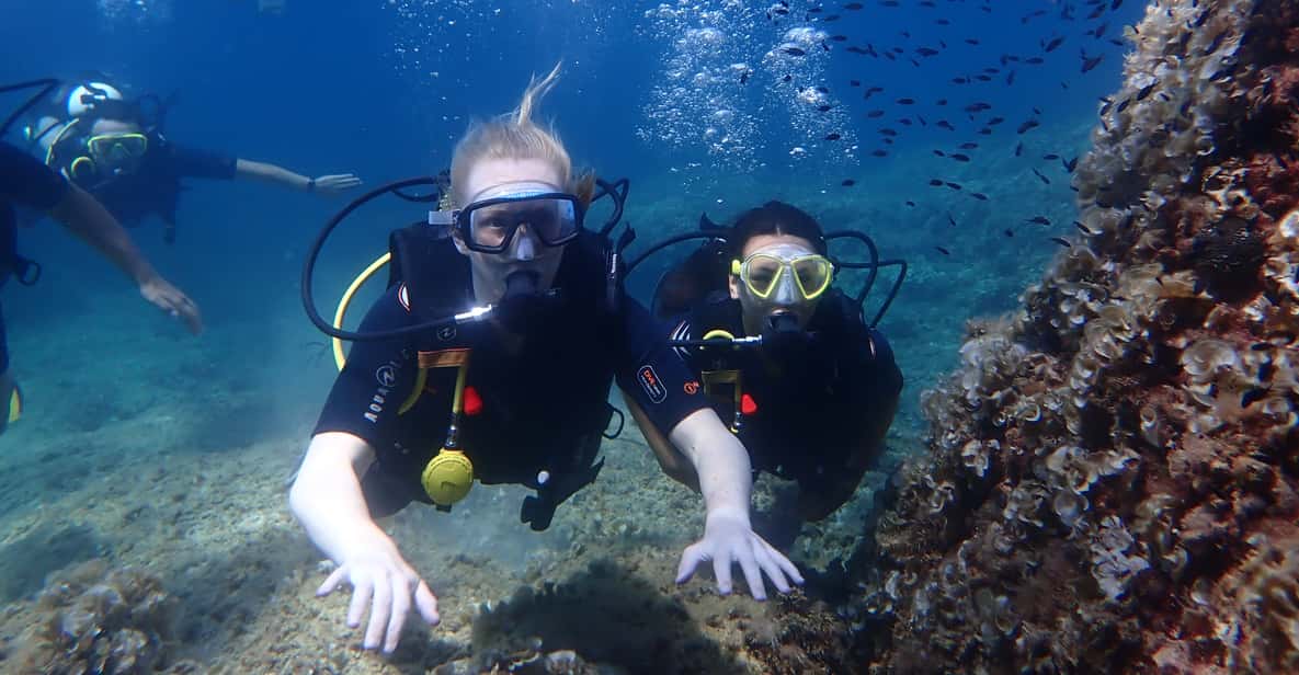 Afbeelding 26 van Mallorca: ontdek duiken voor beginners