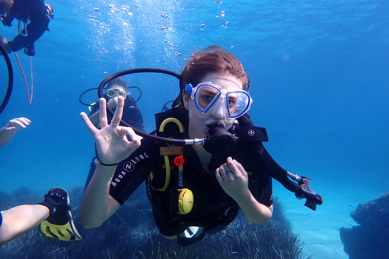 Mallorca: Try Scuba Diving in a Beautiful Nature Reserve