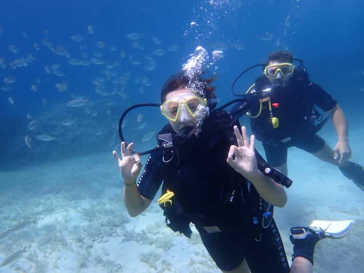 Mallorca: Try Out Scuba Diving in a Marine Nature Reserve | GetYourGuide