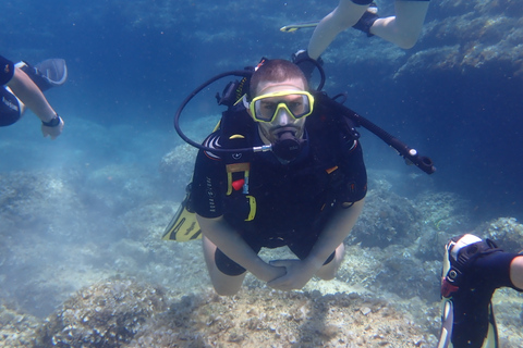 Mallorca: Tauch-Schnupperkurs in einem Naturschutzgebiet