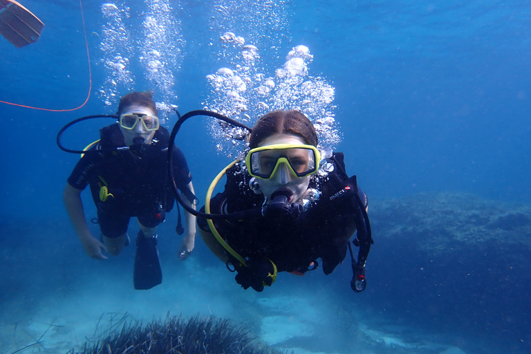 Mallorca: Experimente o mergulho autônomo em uma reserva natural marinhaMaiorca: Mergulho de Cilindro em Reserva Marinha