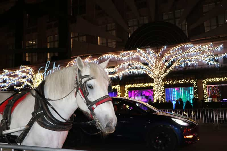 Central Park, Rockefeller & Times Square Horse Carriage Ride | GetYourGuide