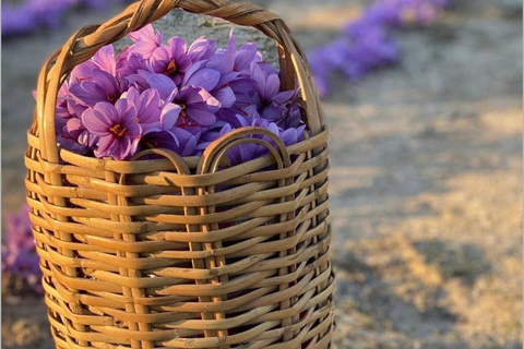 Baku: Boutique Visit with Saffron Tasting Experience