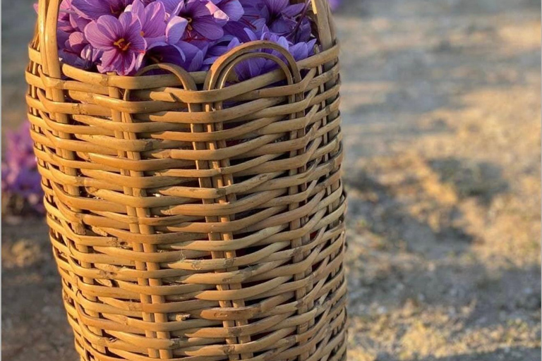 Baku: Boutique Visit with Saffron Tasting Experience