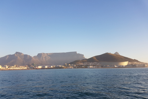 Ciudad del Cabo: Crucero al atardecer desde V&A Waterfront con burbujas