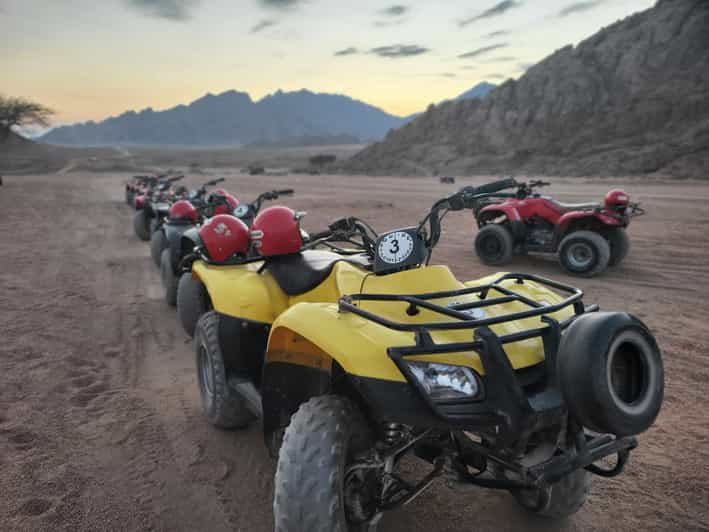 Sharm El Sheikh Atv Beduinenzelt Mit Bbq Dinner Und Show Getyourguide