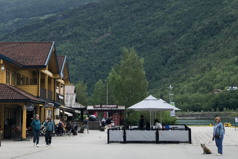 Från Bergen: Dagsutflykt med Flams järnväg och Fjordkryssning