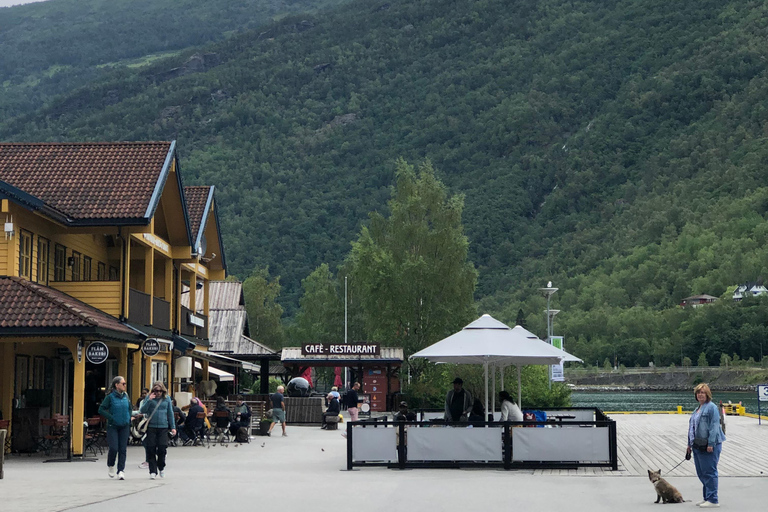 Från Bergen: Dagsutflykt med Flams järnväg och Fjordkryssning