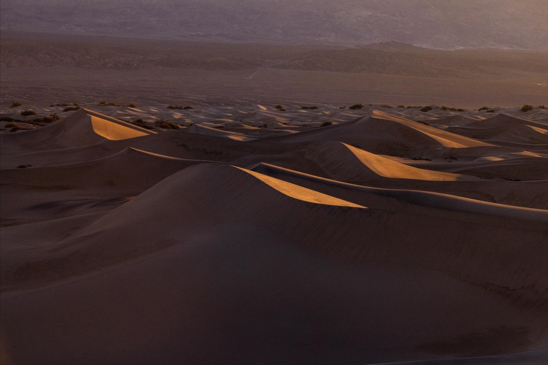 Riyadh:Red Sand Dunes camel ride&Quad&Sandboarding Adventure Private Tour with pick up and drop off from your location
