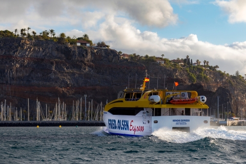La Gomera : Ligne de ferry intérieure à l'îleBillet aller-retour Valle Gran Rey - Playa Santiago