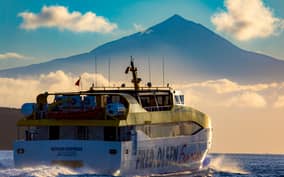 - Canarie.it