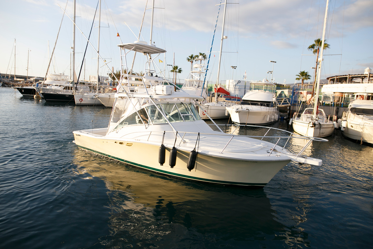 Costa Adeje : Tour de voile en yacht privé depuis Puerto ColónExcursion en voilier privé de 6 heures au départ de Puerto Colón