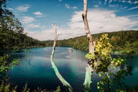 De Split, Plitvice Lakes Guided Day Tour avec billets - Housity