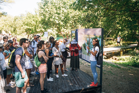 Da Spalato: Tour delle cascate di Krka, degustazione di cibo e vino