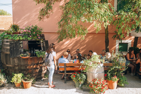 De Split: Cachoeiras de Krka, tour gastronômico e degustação de vinhos