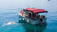Opatija/Lovran, Boat Trip to Secluded Beaches on Island Cres - Housity